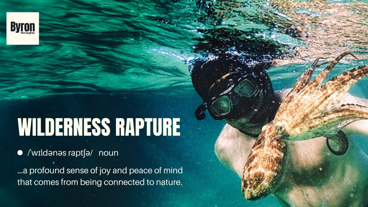Cover image for the article "Wilderness Rapture"